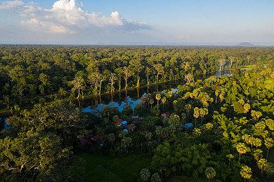 LPL全军覆没 《英雄联盟》S12半决赛JDG不敌T1